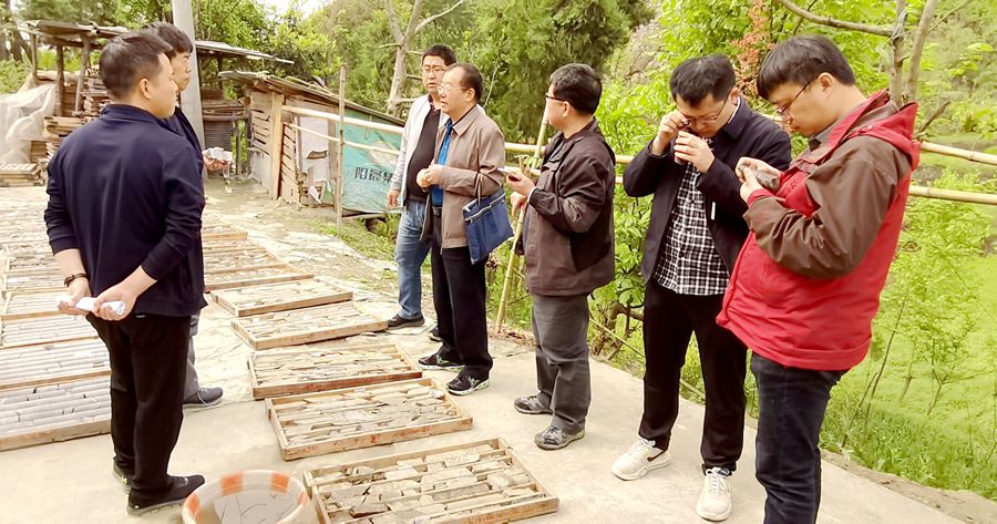 我公司三個(gè)省地勘基金項(xiàng)目通過野外驗(yàn)收