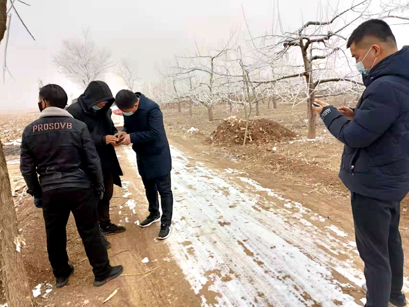 20220123/61ed0a1eaa833.jpg 3.jpg