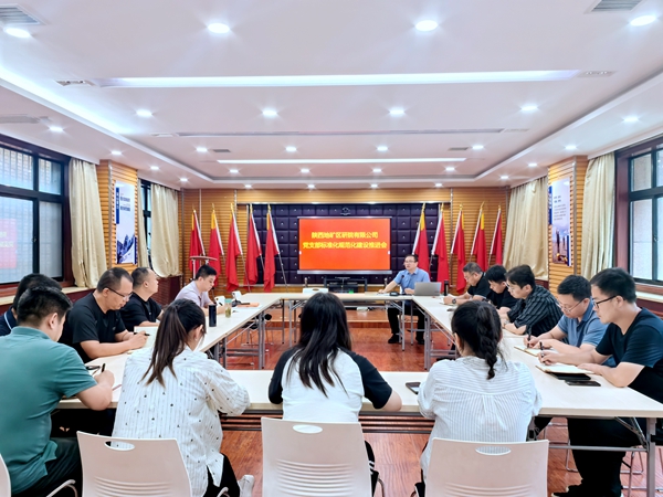 陜西地礦區(qū)研院有限公司召開(kāi)黨支部標(biāo)準(zhǔn)化規(guī)范化建設(shè)推進(jìn)會(huì)
