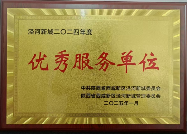 陜西地礦區研院有限公司榮獲涇河新城“優秀服務單位”稱號