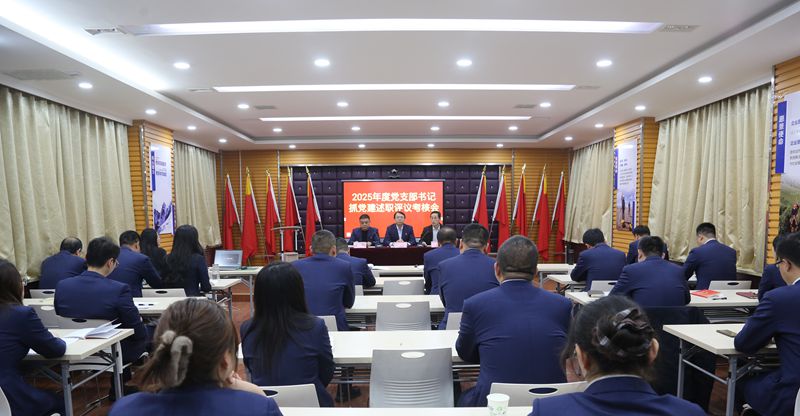 陜西地礦區(qū)研院有限公司召開2025年度黨支部書記 抓黨建述職評議考核會